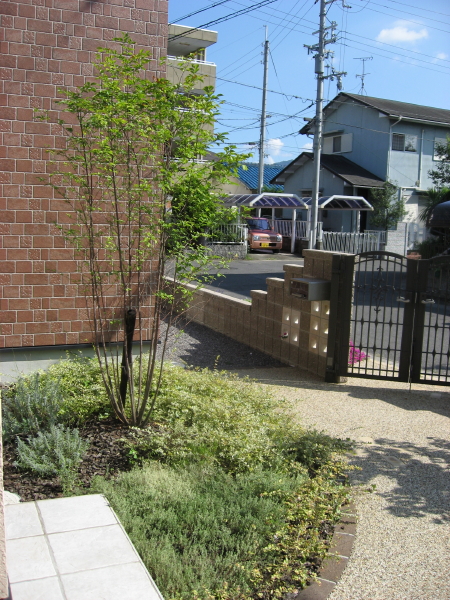 植栽と下草　湖南市Ａ様邸