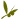 オリーブlogo