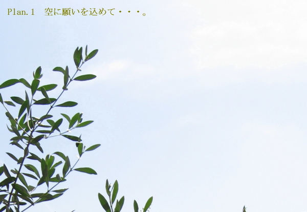 01　空とオリーブの木